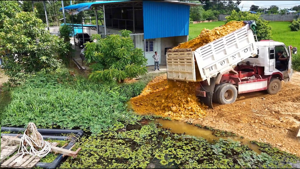 Process Landfill New Project!Dump Truck Filling Land Deep Lake With Skillful Dozer D21 Pushing Soil 