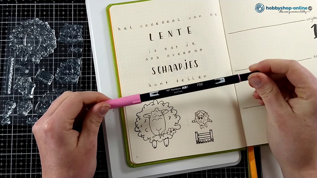 Bullet journal - weekly mei