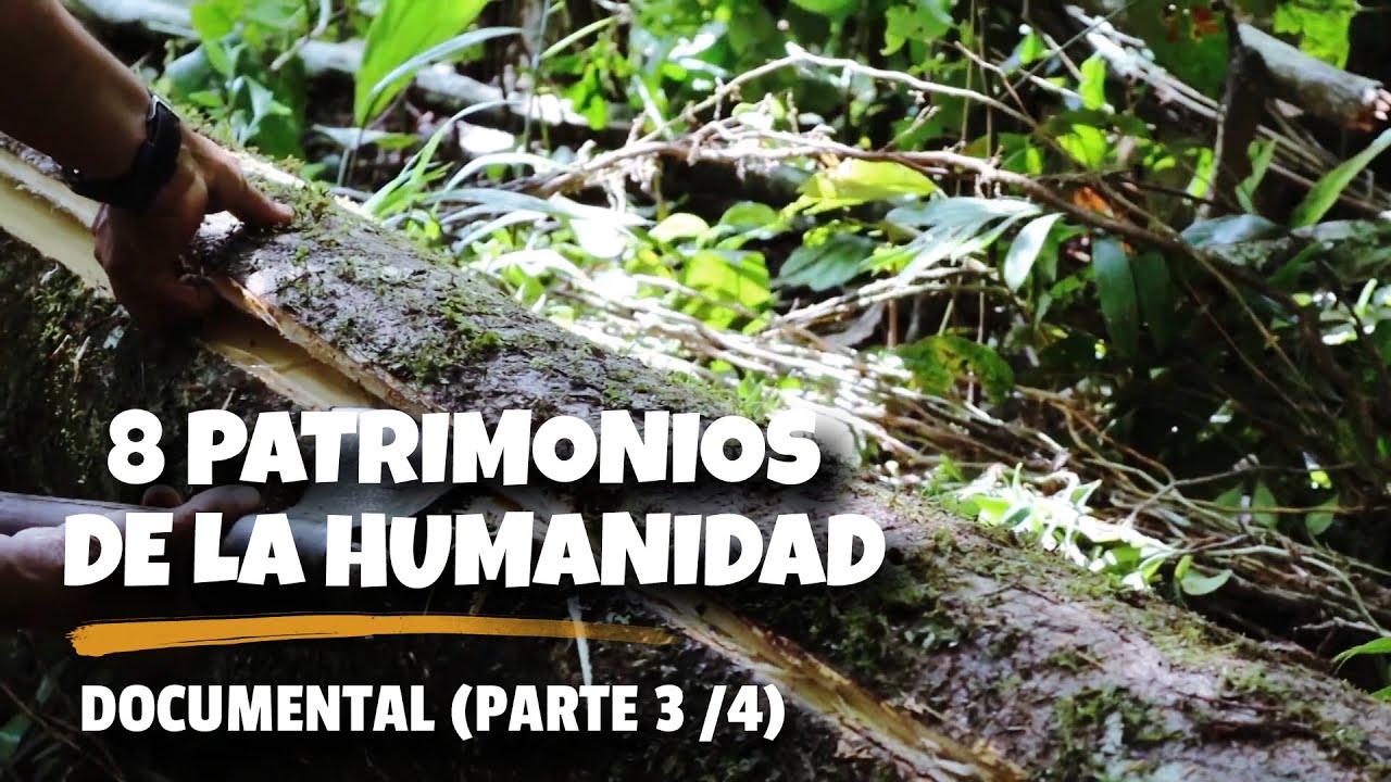 8 PATRIMONIOS de la humanidad - Documental (Parte 3/5)
