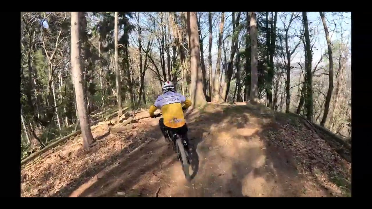 Mix di primavera     o quasi