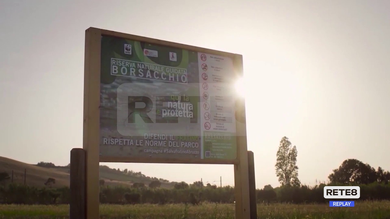 Riserva del Borsacchio - Il Comune aderisce al ricorso al Tar