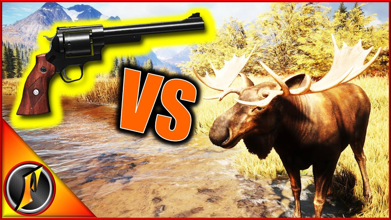 .357 VS Moose Challenge!
