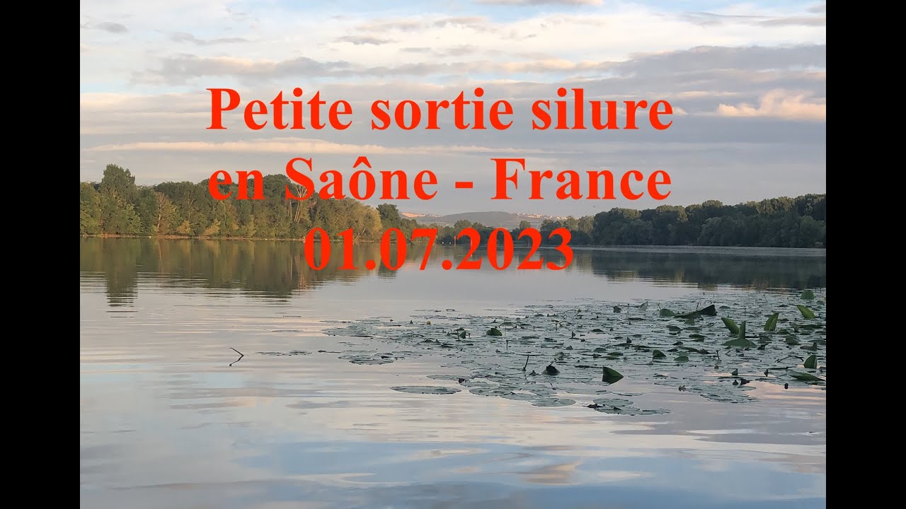 Sortie Silure sur la Saône - France - 01.07.2023