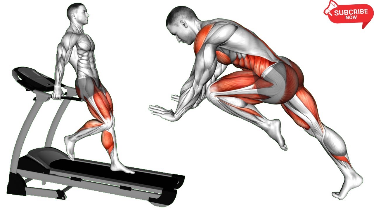 Full Body Conditioning: From Walking to Burpees (Follow Along).