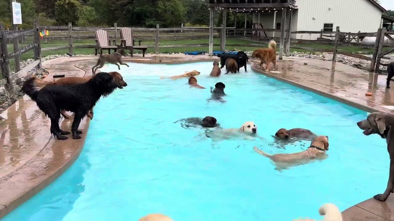 September Summer Fun!