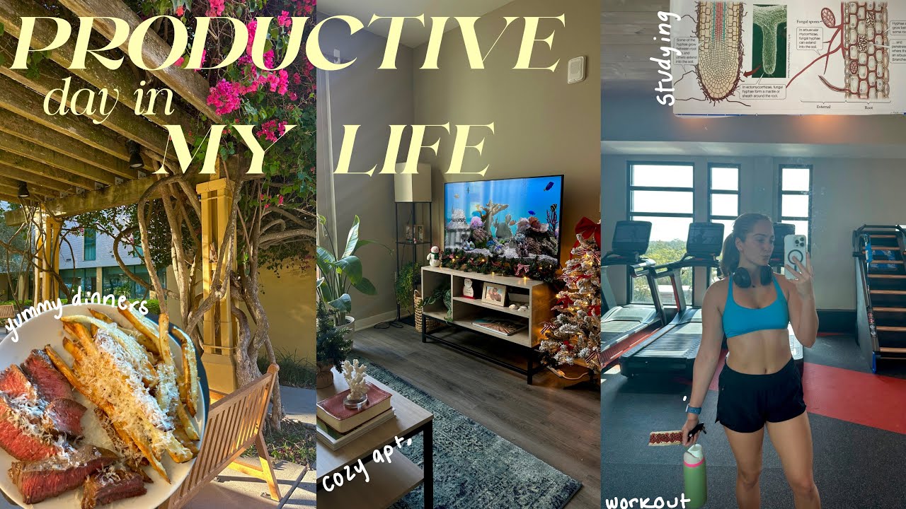 productive day in my life! | college student version