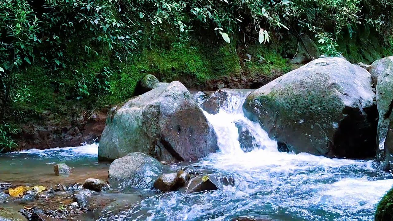 Calm River Ambience for Inner Stillness