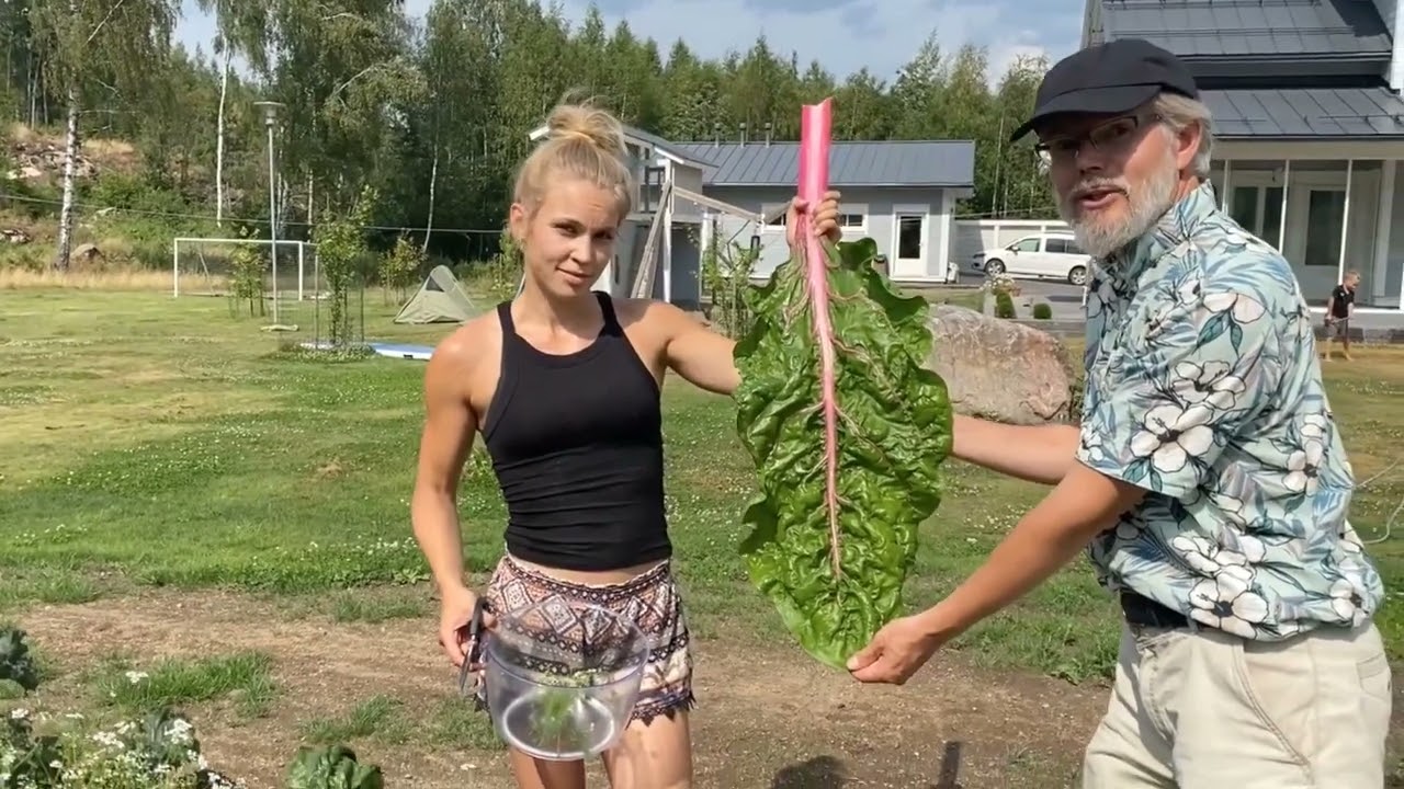 Kasvimaa helposti omalle pihalle