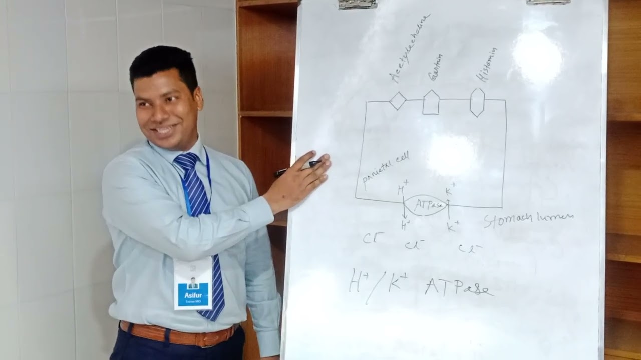 How to secret HCl acid in stomach In bangla