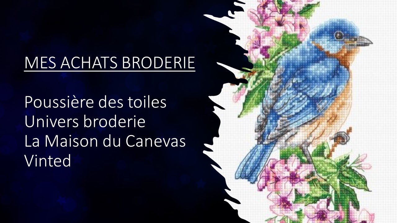 MES ACHATS BRODERIE Poussière des Toiles Univers Broderie La Maison du Canevas et Vinted