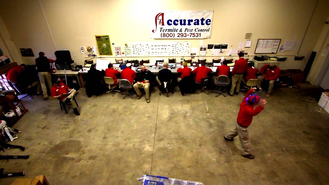 Harlem Shake - Accurate Termite & Pest Control Style