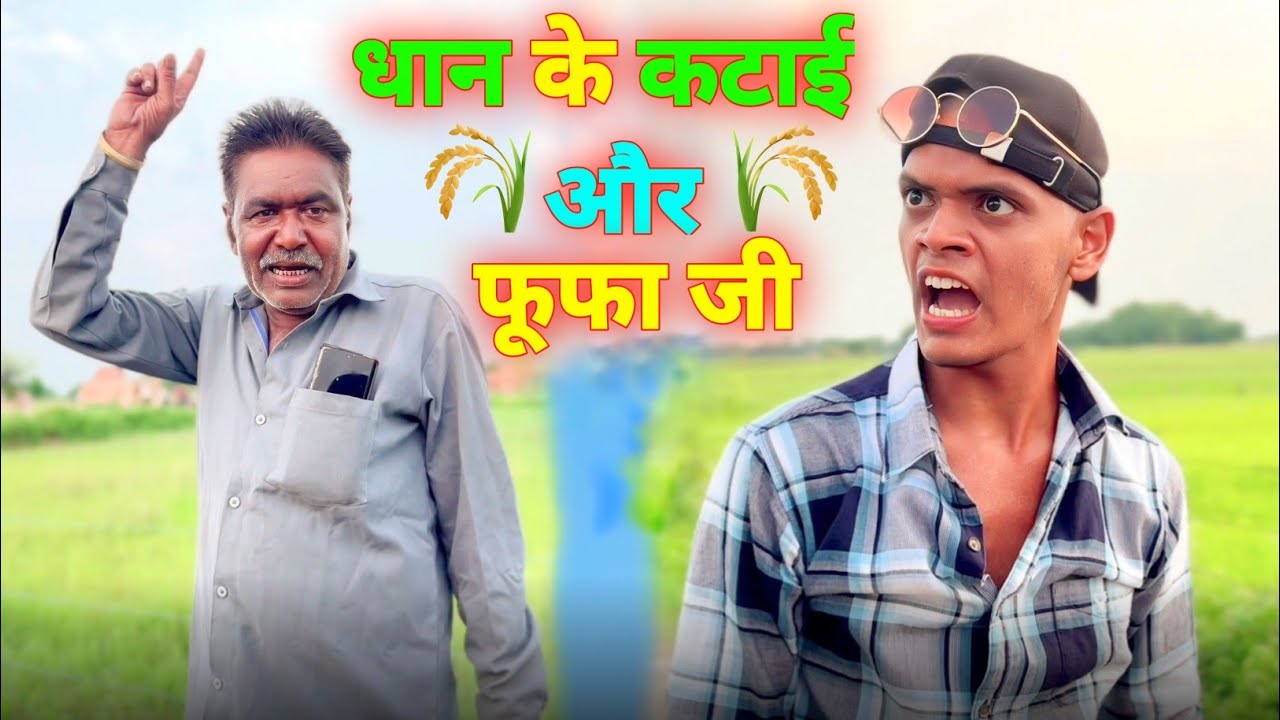 धान के कटाई और फूफा जी | bagheli comedy video | krishna yadav comedy