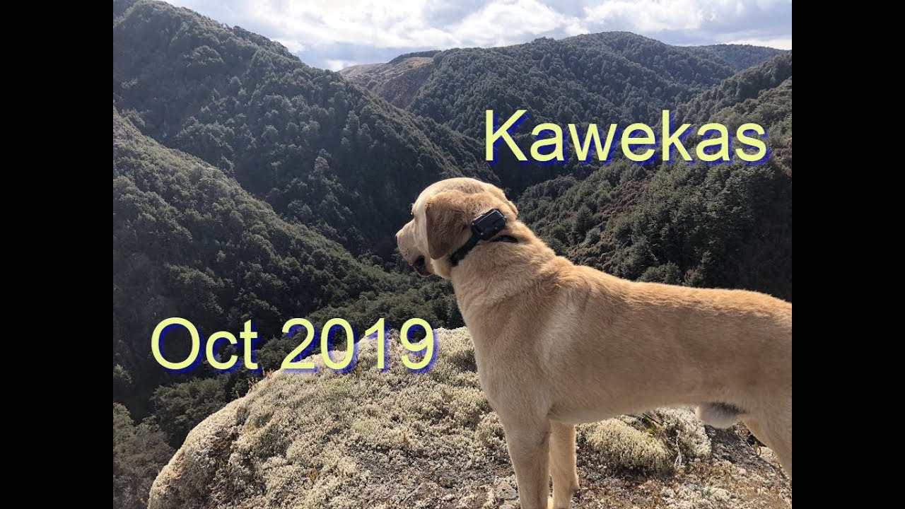 Kawekas - Oct 2019