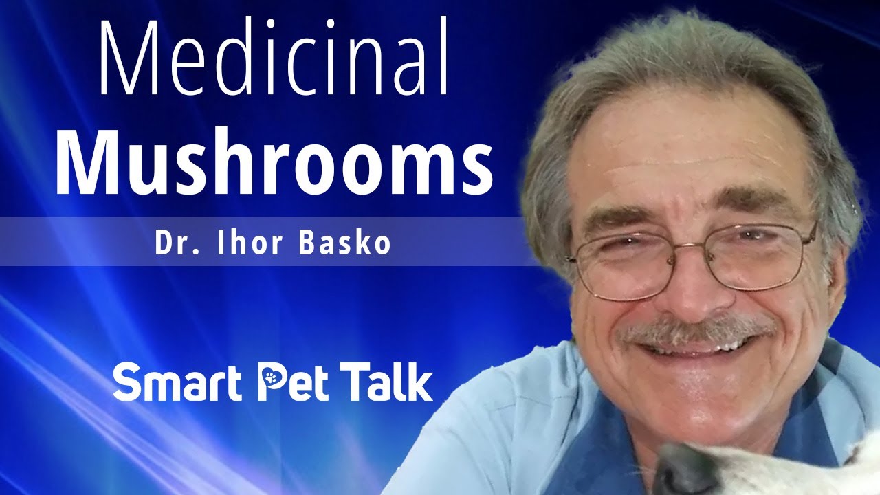 Medicinal Mushrooms with Dr. Ihor Basko | Honoring His Legacy