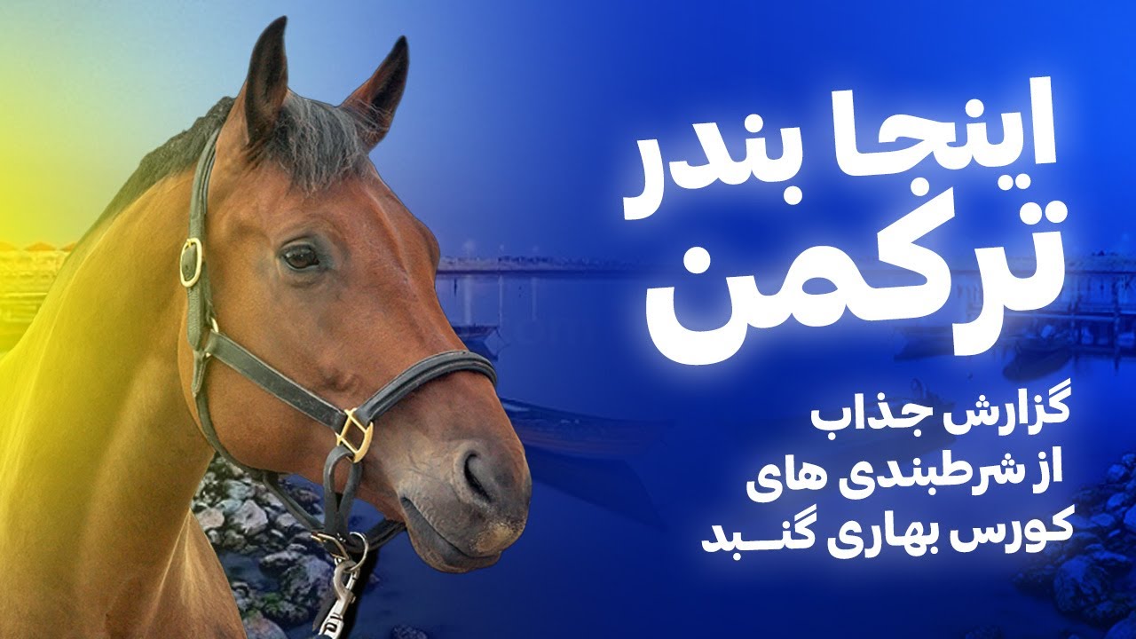 اینجا بندر ترکمن؛ گزارش جالب و جذاب از شرط بندی تو کورس بهاری گنبد/ علاقه زیاد گنبدی ها به اسب سواری