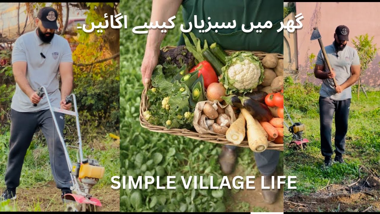 How to grow vegetables at home // hamzavlogs