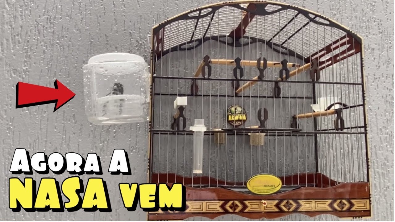 AGORA A NASA VEM! (Box para aves)
