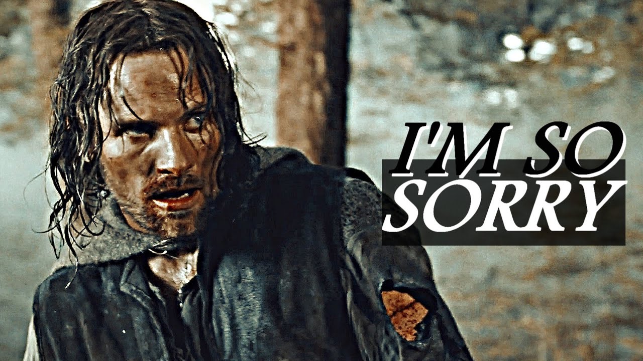 ARAGORN || I'M SO SORRY