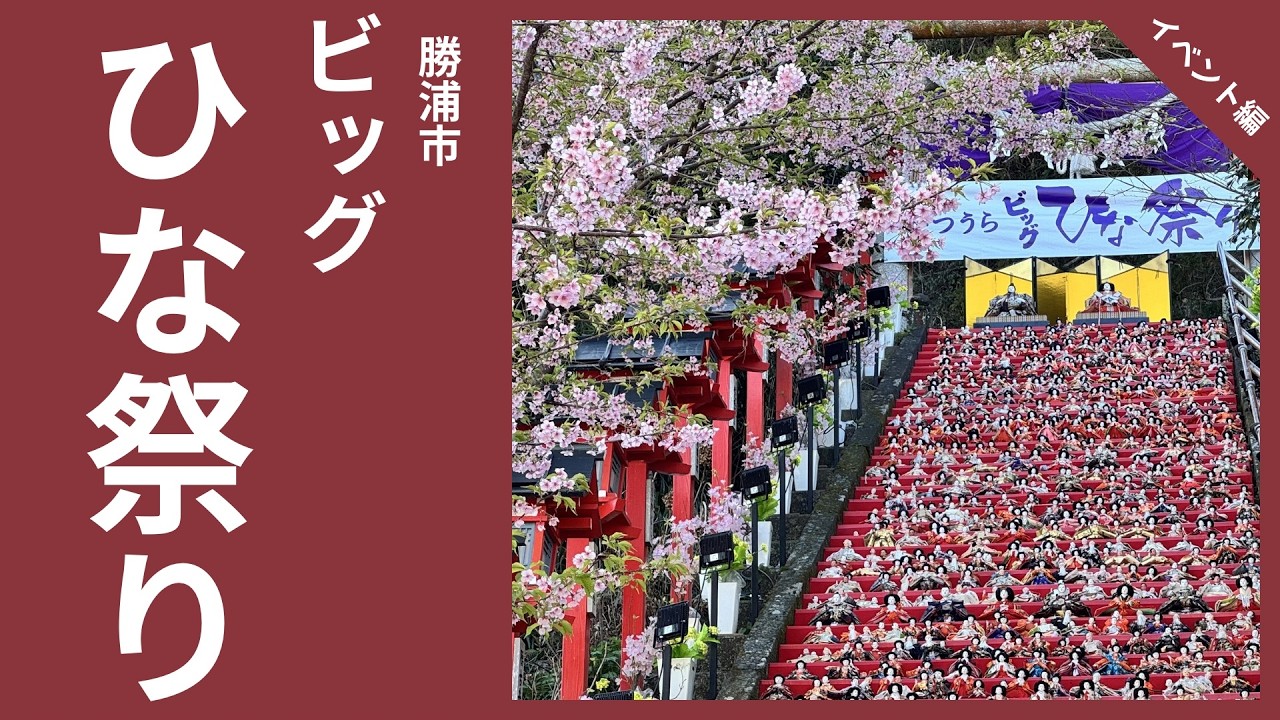 でかっ！数も大きさもビッグな
