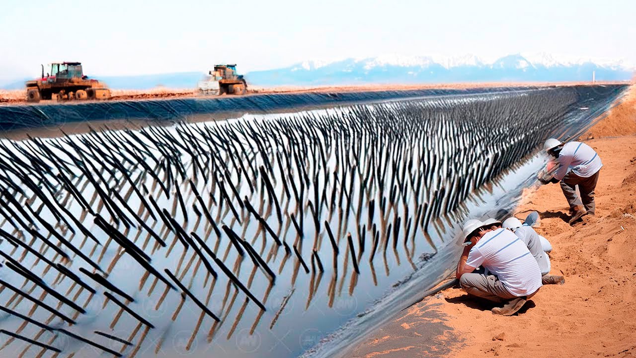 China Buried Tons of Dead Plants Under the Desert Sand and 10 Years Later It Changed Everything