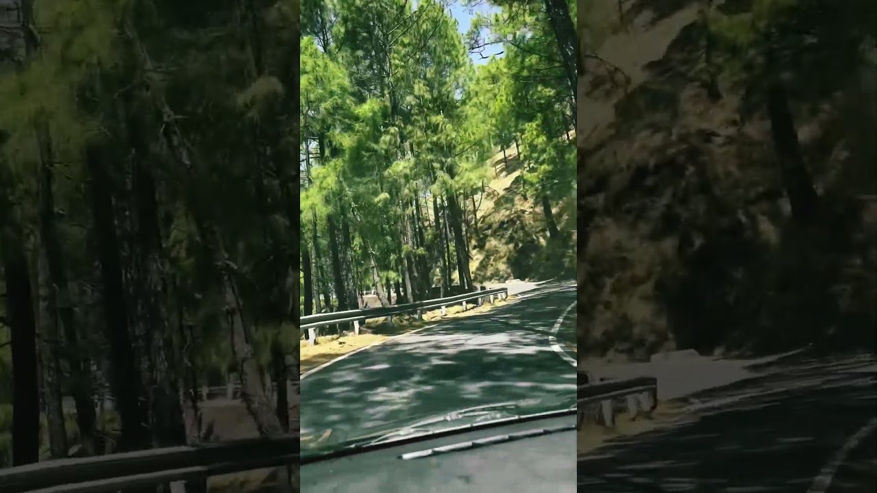&ldquo;Curvy Roads & Calm Vibes &ndash; Almora Drive 🛣️🧭&rdquo;