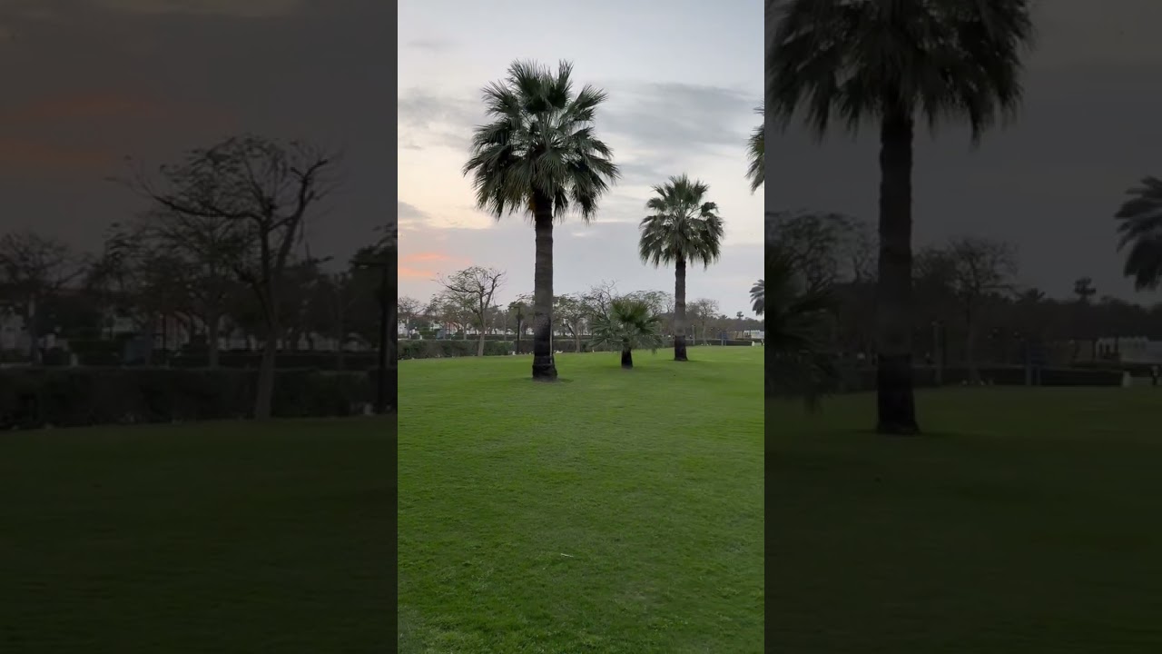 جوله في حديقه الصفا دبي الامارات Al Safa Park Dubai UAE   #dubai #دبي #سفر #travel walk tour [ 4k ]