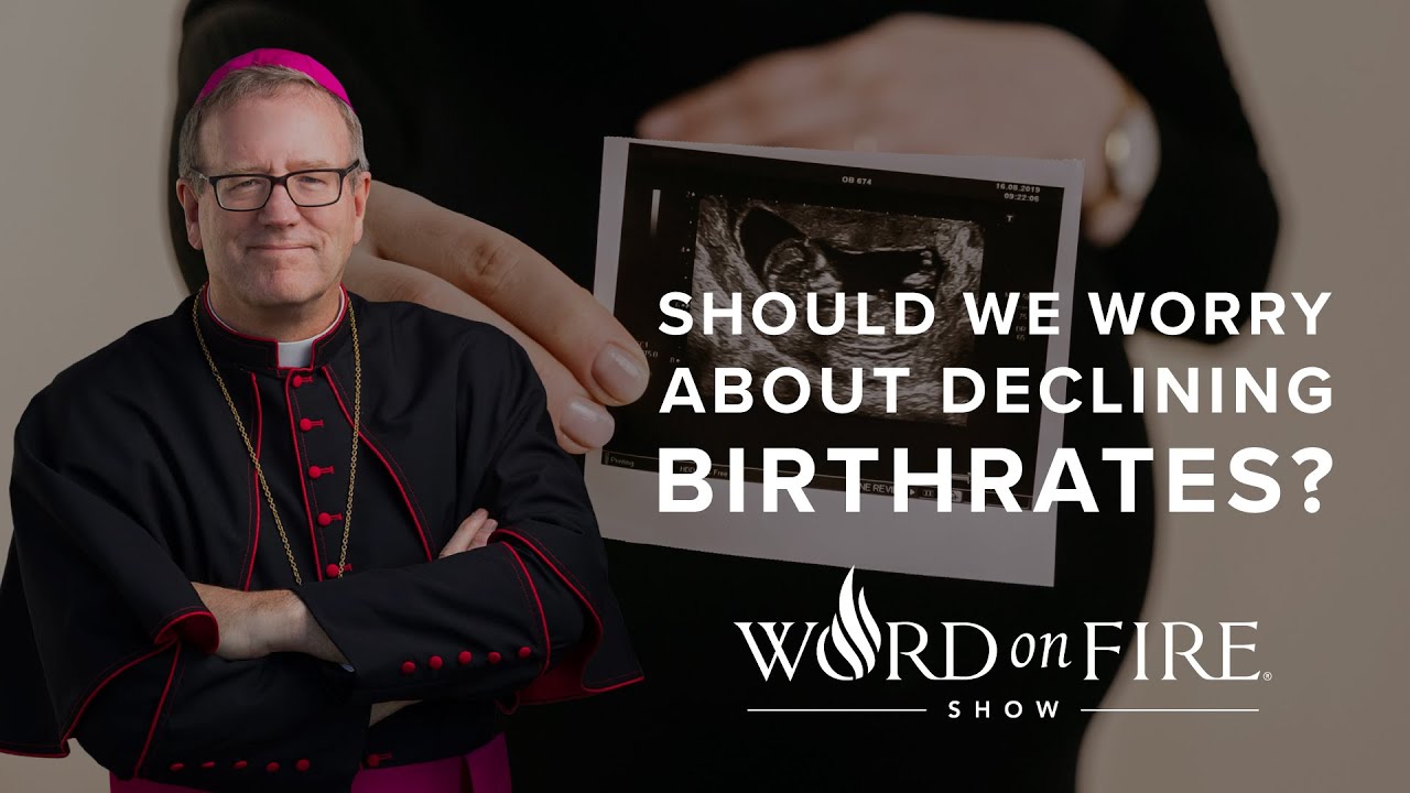 Should We Worry About Declining Birth Rates?