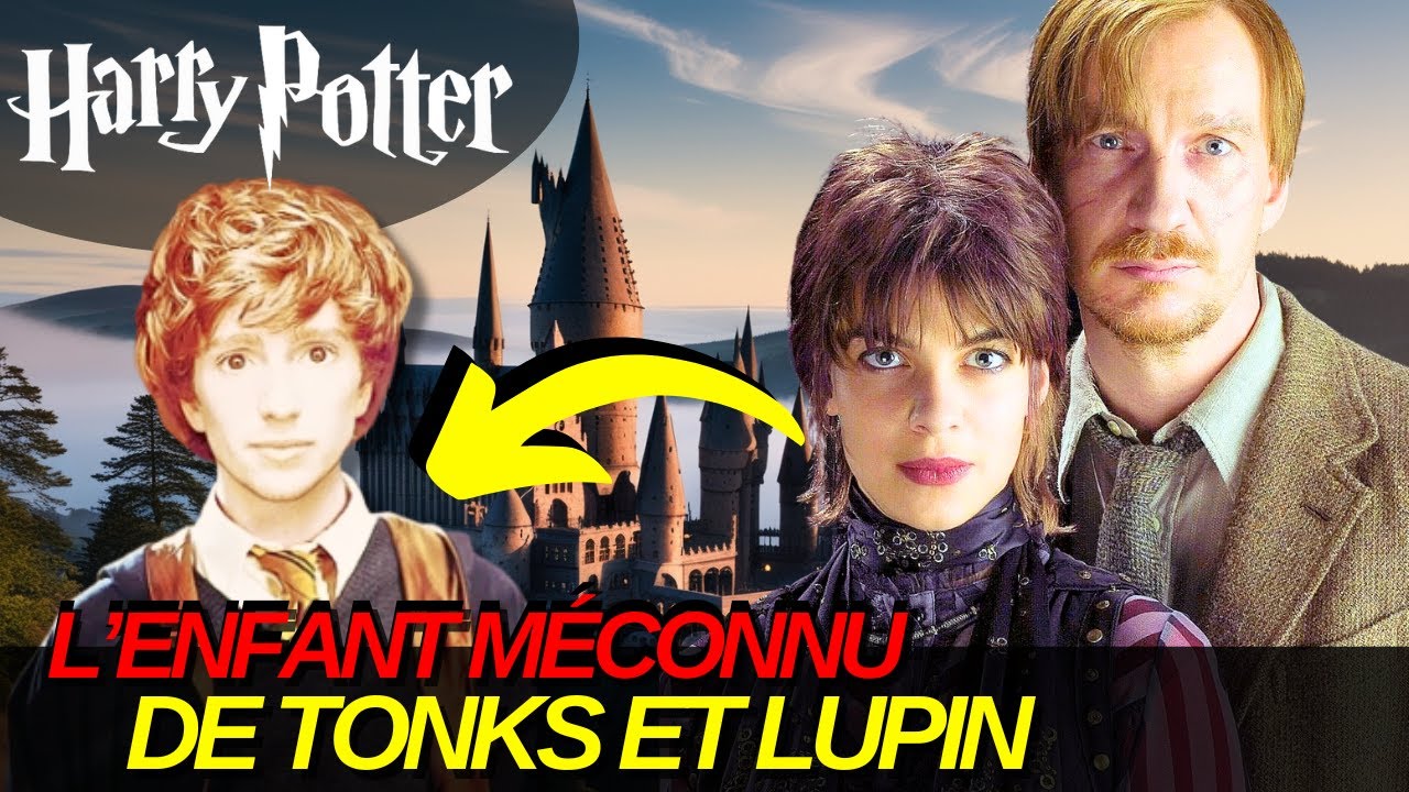 TEDDY LUPIN: L'ENFANT DE LA GUERRE....