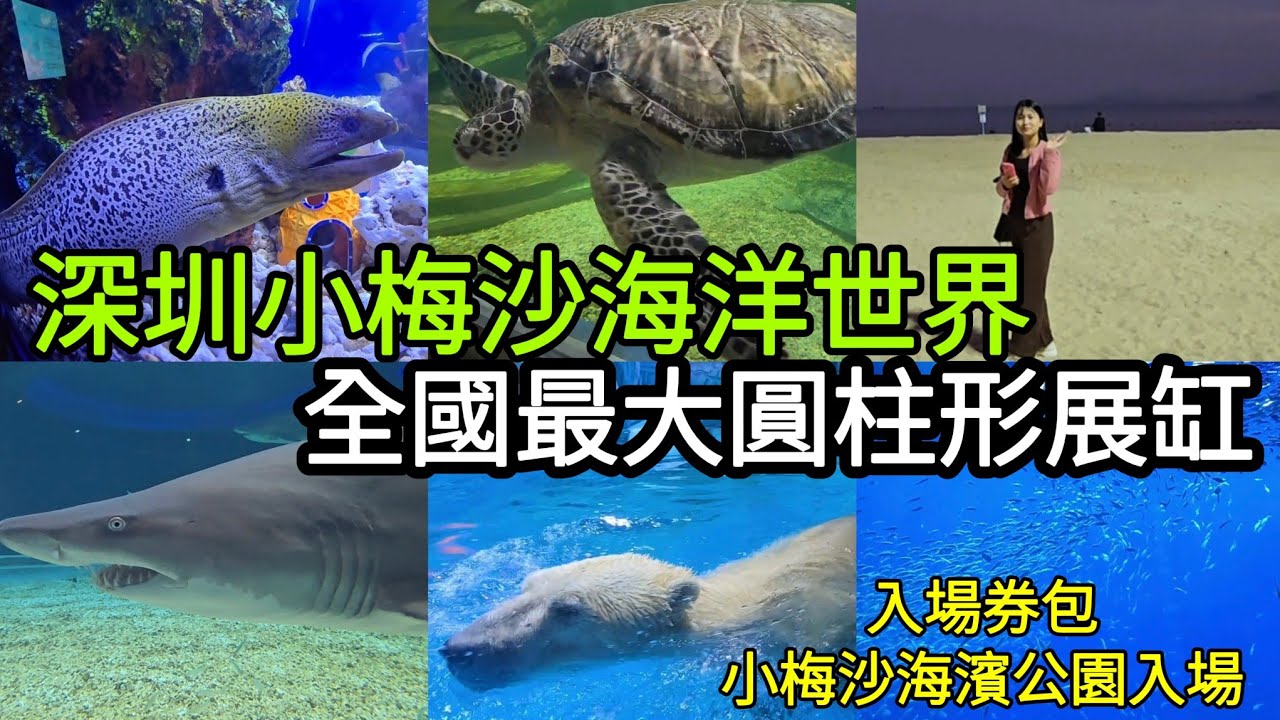 深圳小梅沙海洋世界 全國最大圓柱形展缸、極地館 、熱帶館 、鯨豚館 入場券包小梅沙海濱公園入場！