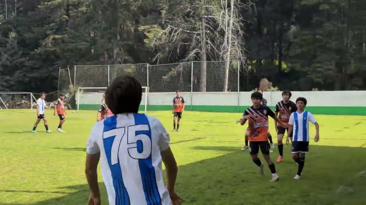 LN - SO. CO. Academy / semifinal 