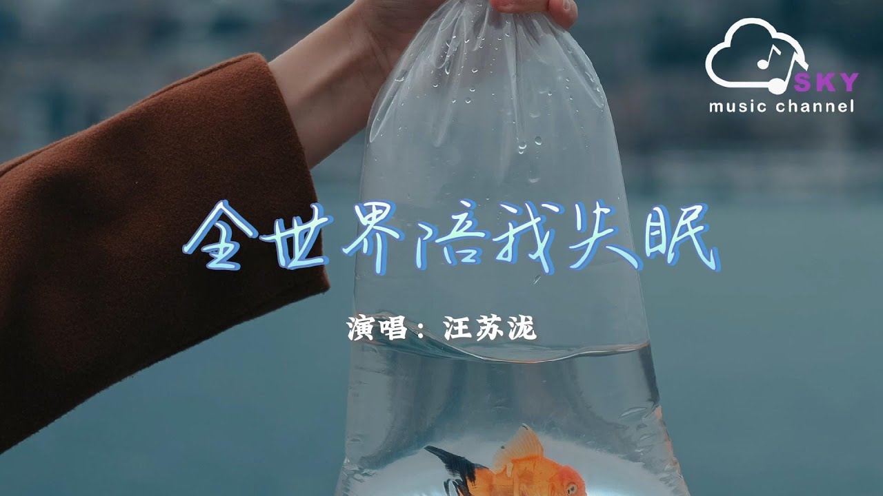 全世界陪我失眠 Lonely Space - 汪蘇瀧 (Silence Wang)『越來越習慣房間氧氣在變少，不知不覺白天黑夜一樣沒有人打擾』【動態歌詞】