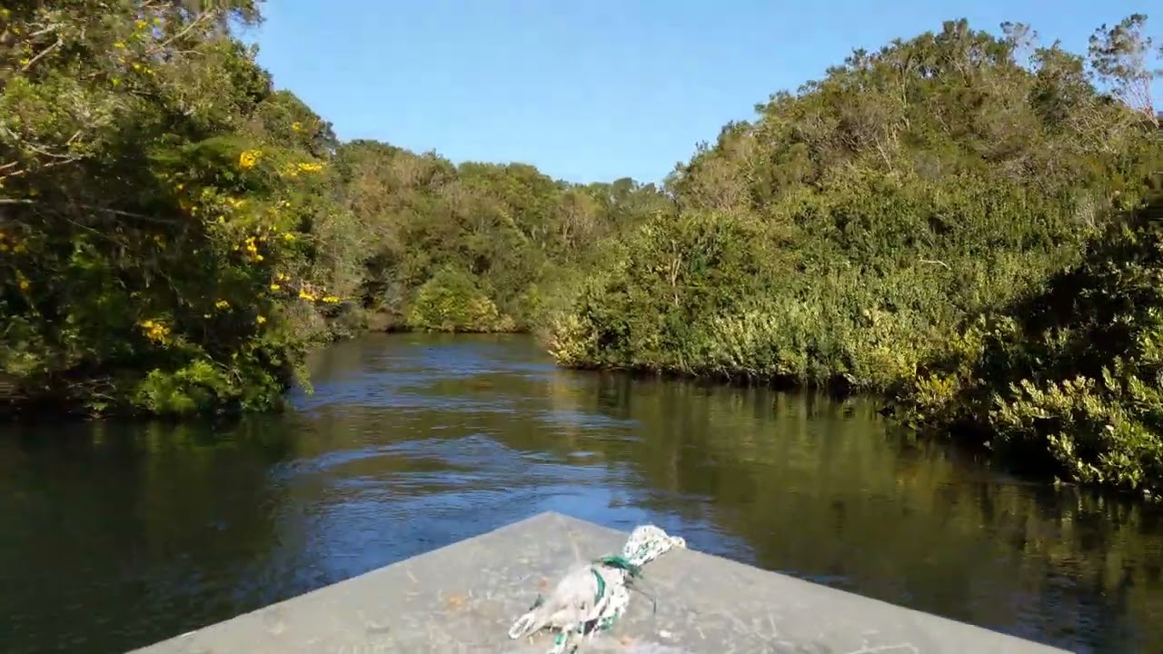 Boat ride down RIO MAULLIN #chile #river #boat