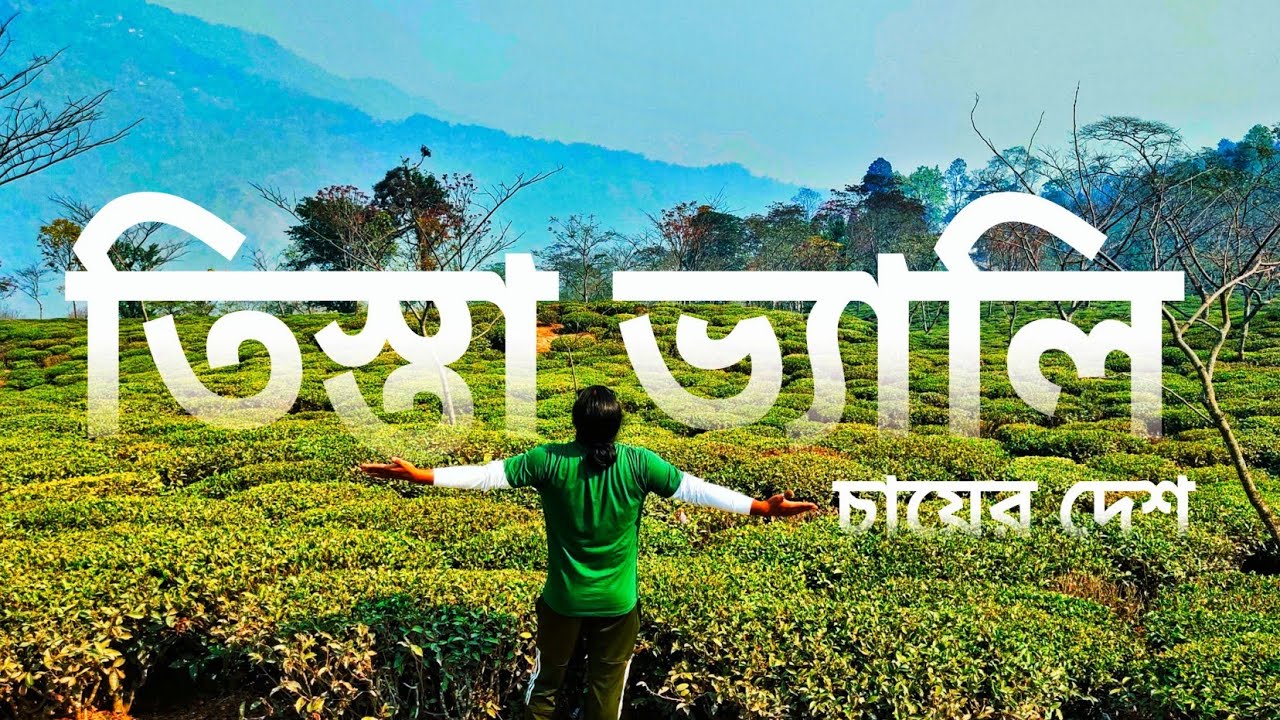 Vlog - 22 | Teesta Vally Tea Garden | Beautiful Darjeeling | Best area for Tea Tourism