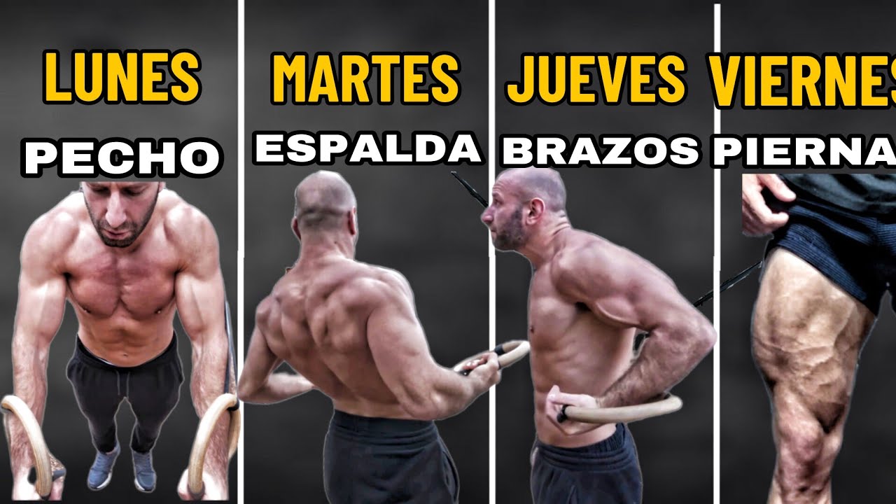 RUTINA de 4 dias con LAS ANILLAS