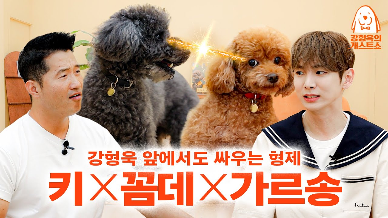 자랑하러 와서 애들 싸움만 말리다 간 샤이니 키 [강형욱의개스트쇼] EP.19