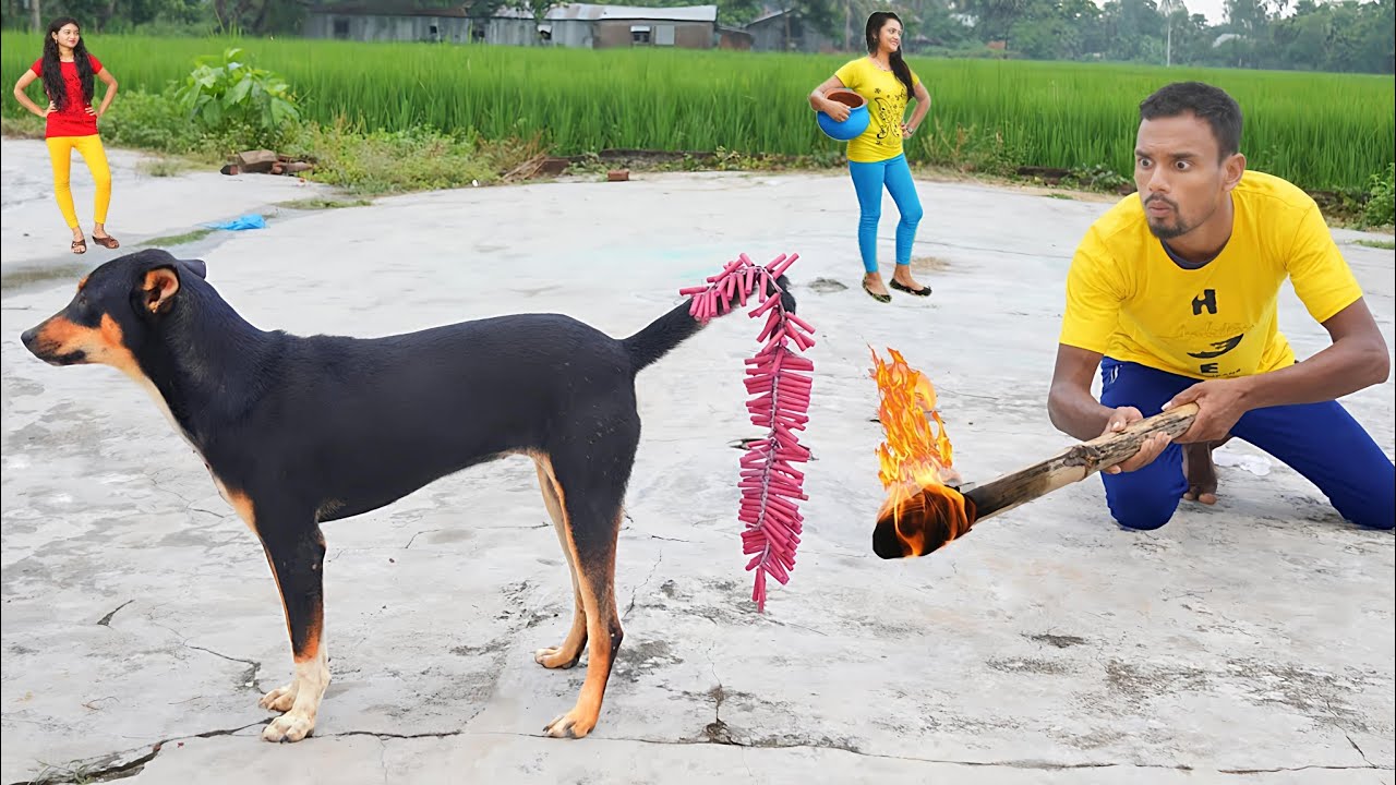 Very Special Trending Comedy Video 2026 😂 Amazing Funny Video Episode @16 Taj Funny