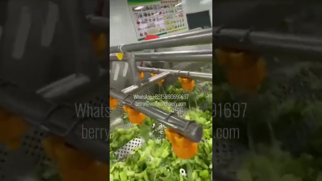 Vegetable washing line | Vortex cleaning machine#washingmachine #washers