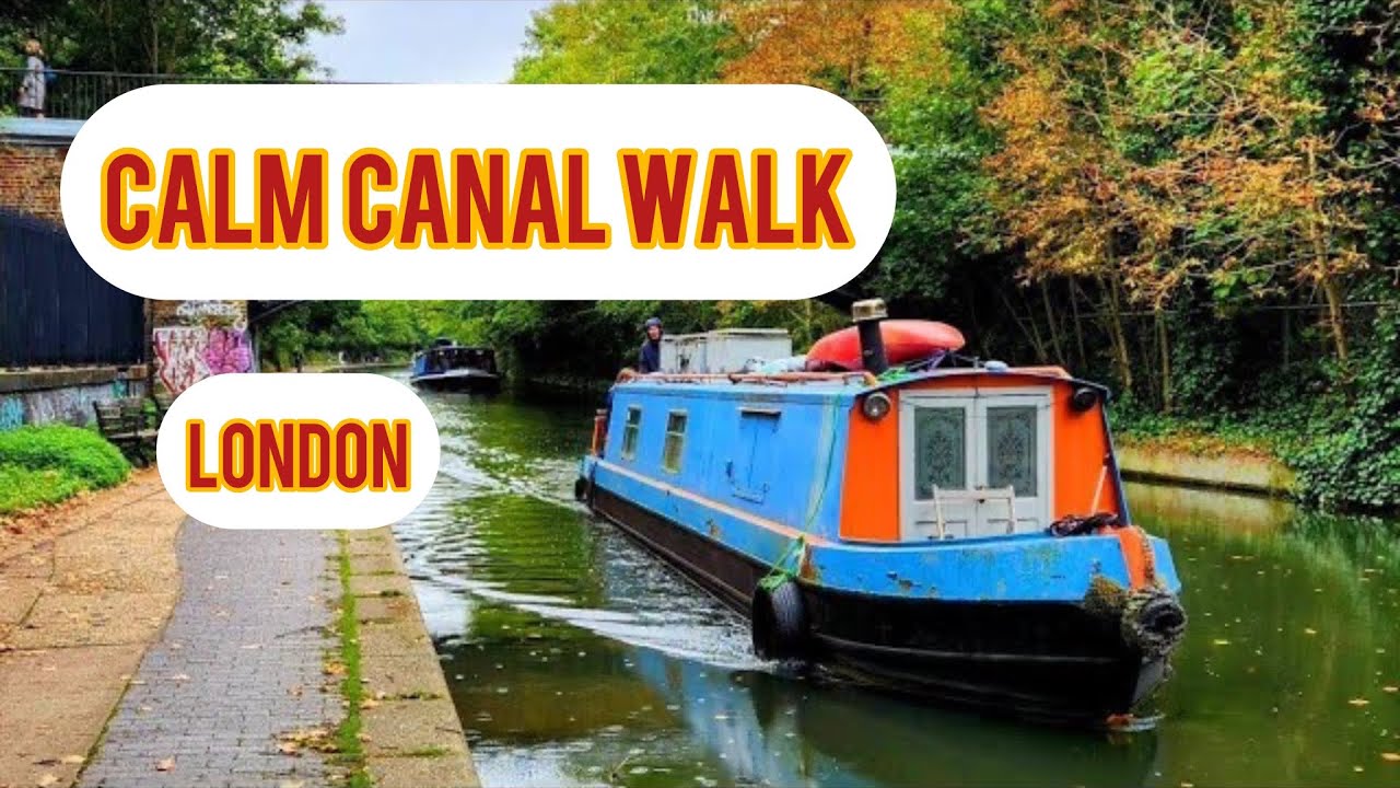 🦢 Calm Canal Walk in England – Swans, Water & Green Nature