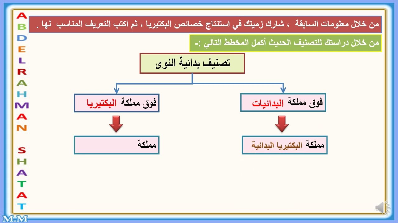بدائيات النوى البكتيريا البدائية