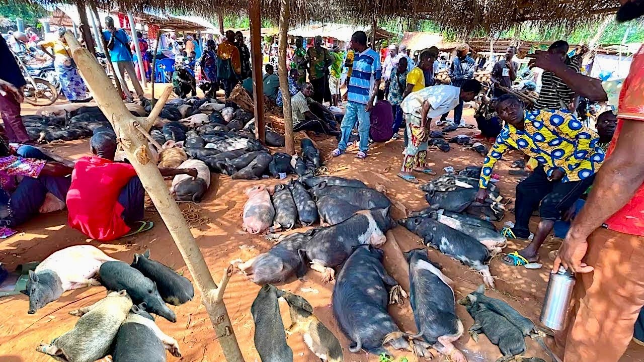 VOGAN Rural African market day in Vogan village Togo west Africa - Cost of living in Africa