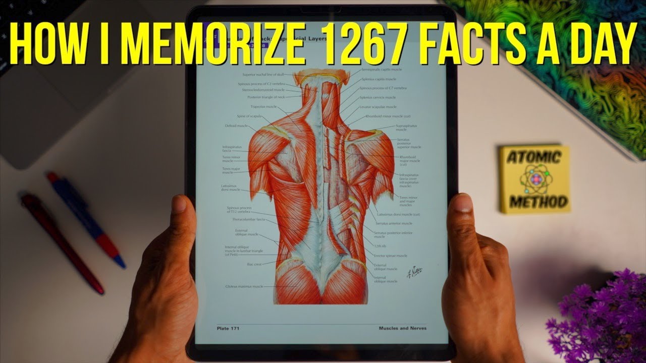 How to Absorb Facts 3x Faster in 7 Days (from a Med Student)