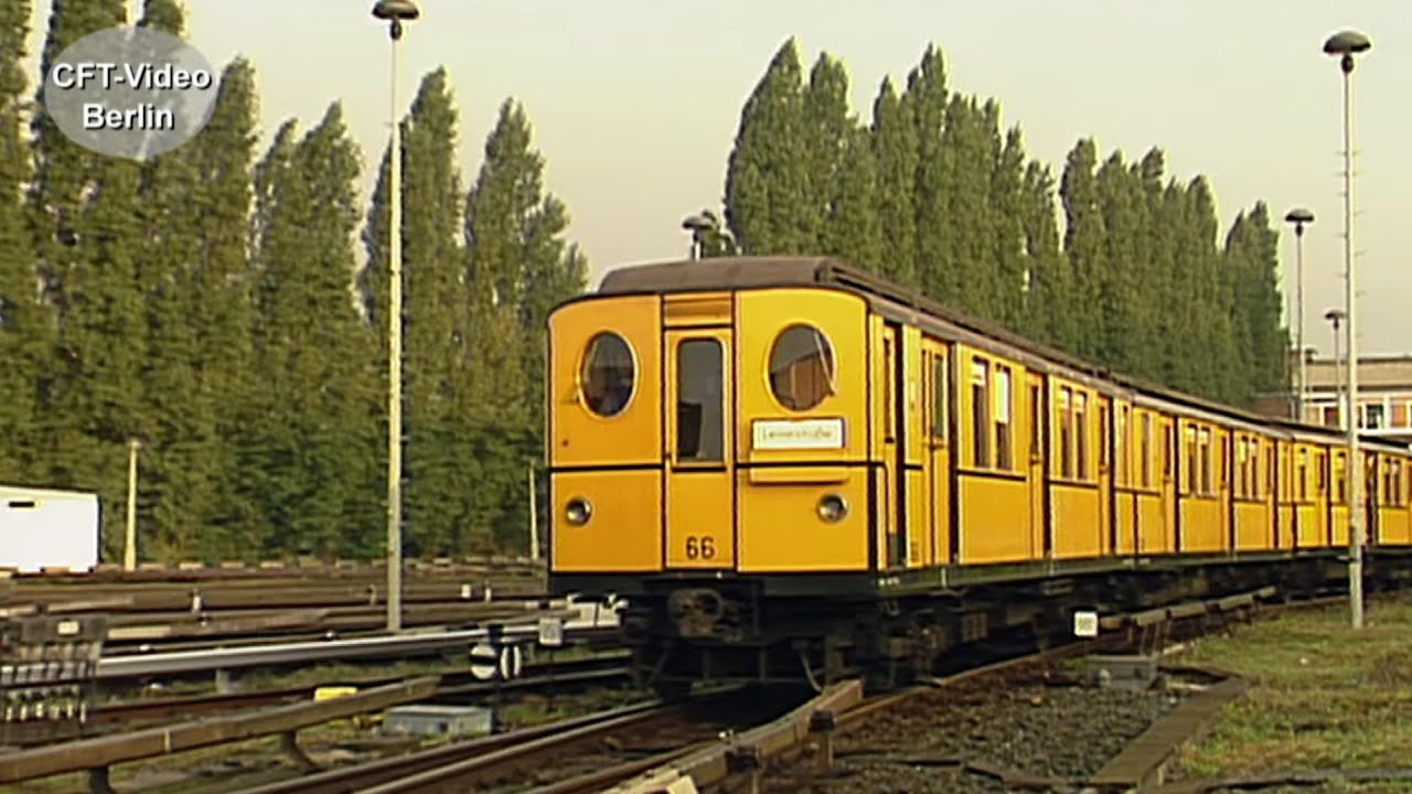 Tunneleule und Co