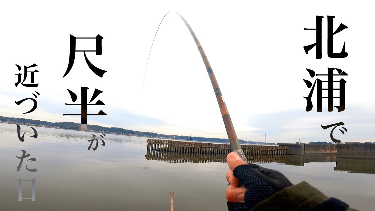 北浦で尺半が近づいた日｜霞ヶ浦水系ヘラブナ野釣り【1月中旬冬】