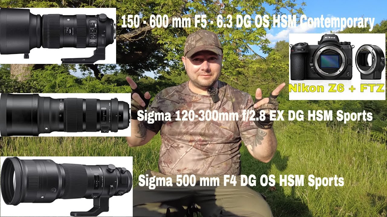 Nikon Z6 II  + sigma 500 mm F4 DG OS HSM + Sigma 120-300mm f/2.8 EX DG HSM + Sigma 150-600 C