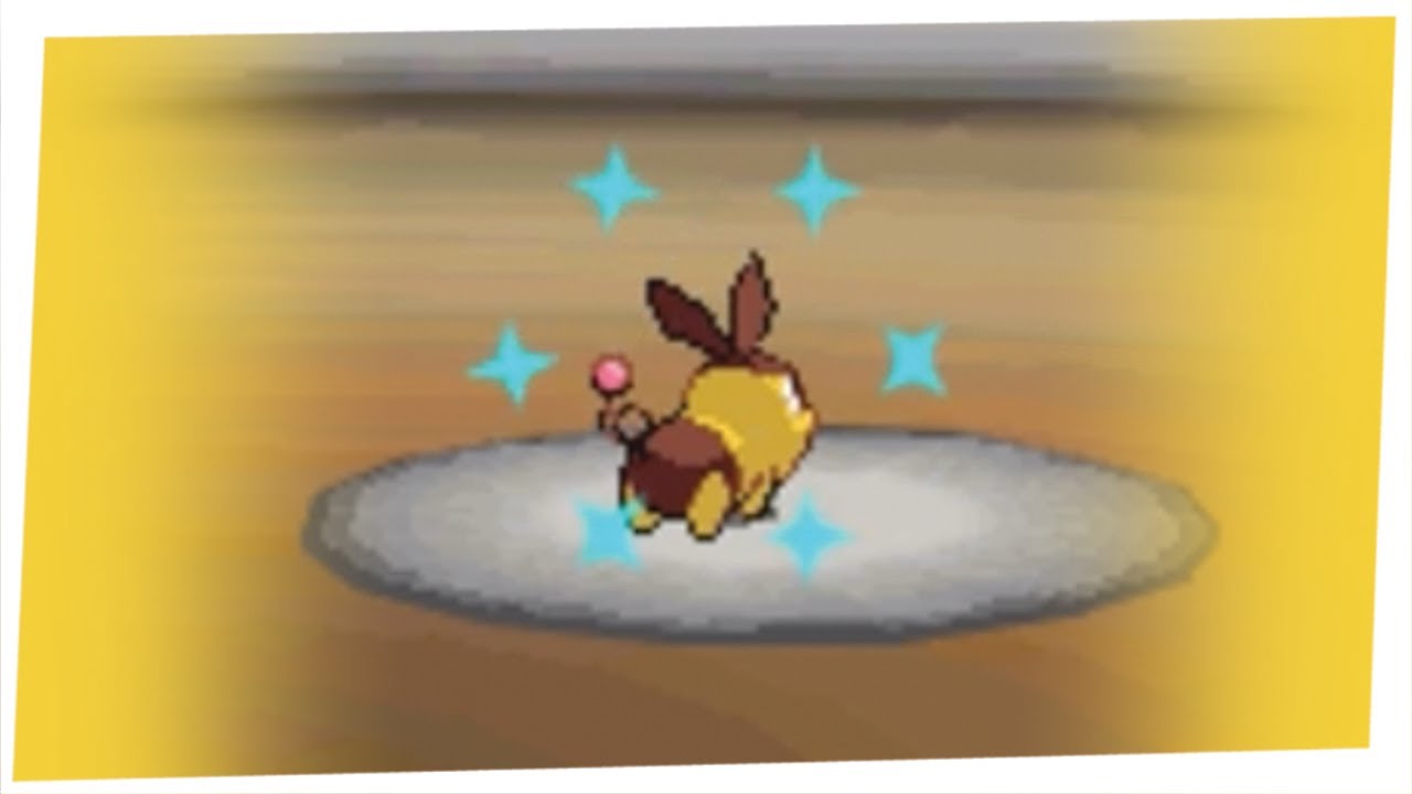 Live Shiny Tepig after 11,404 SRs in Black! [DTQ #1]