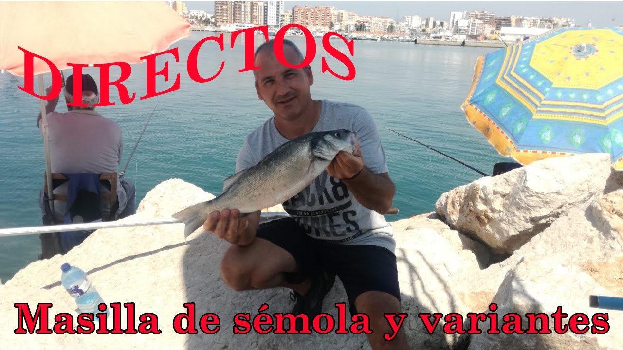 Iniciación al corcheo mar Como hacer Masilla De Semola Y Variantes para la pesca a corcheo mar