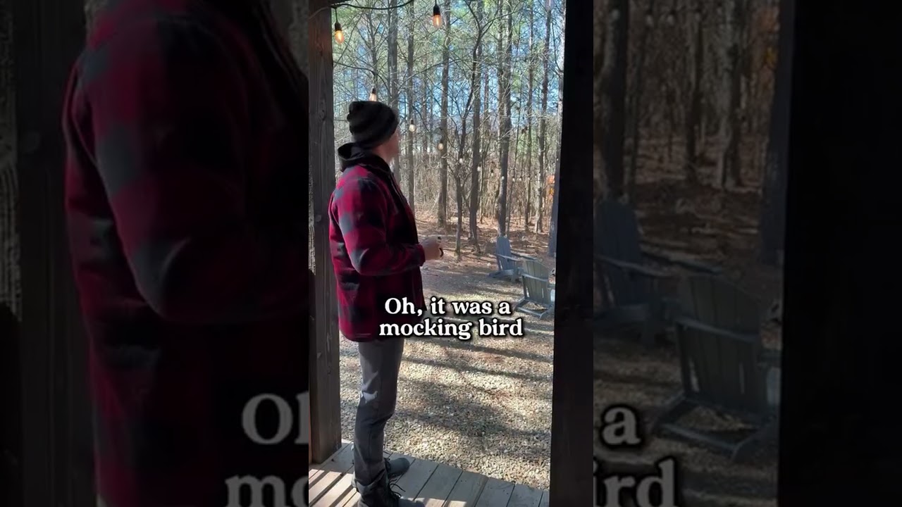 Sarcastic Response to Is that a Mockingbird #viralbirds #mockingbird  #talkingbird