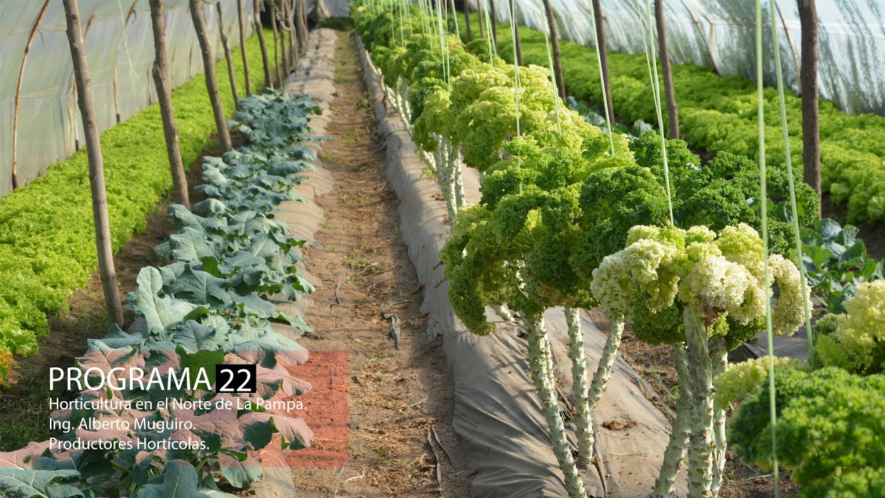 22 Horticultura