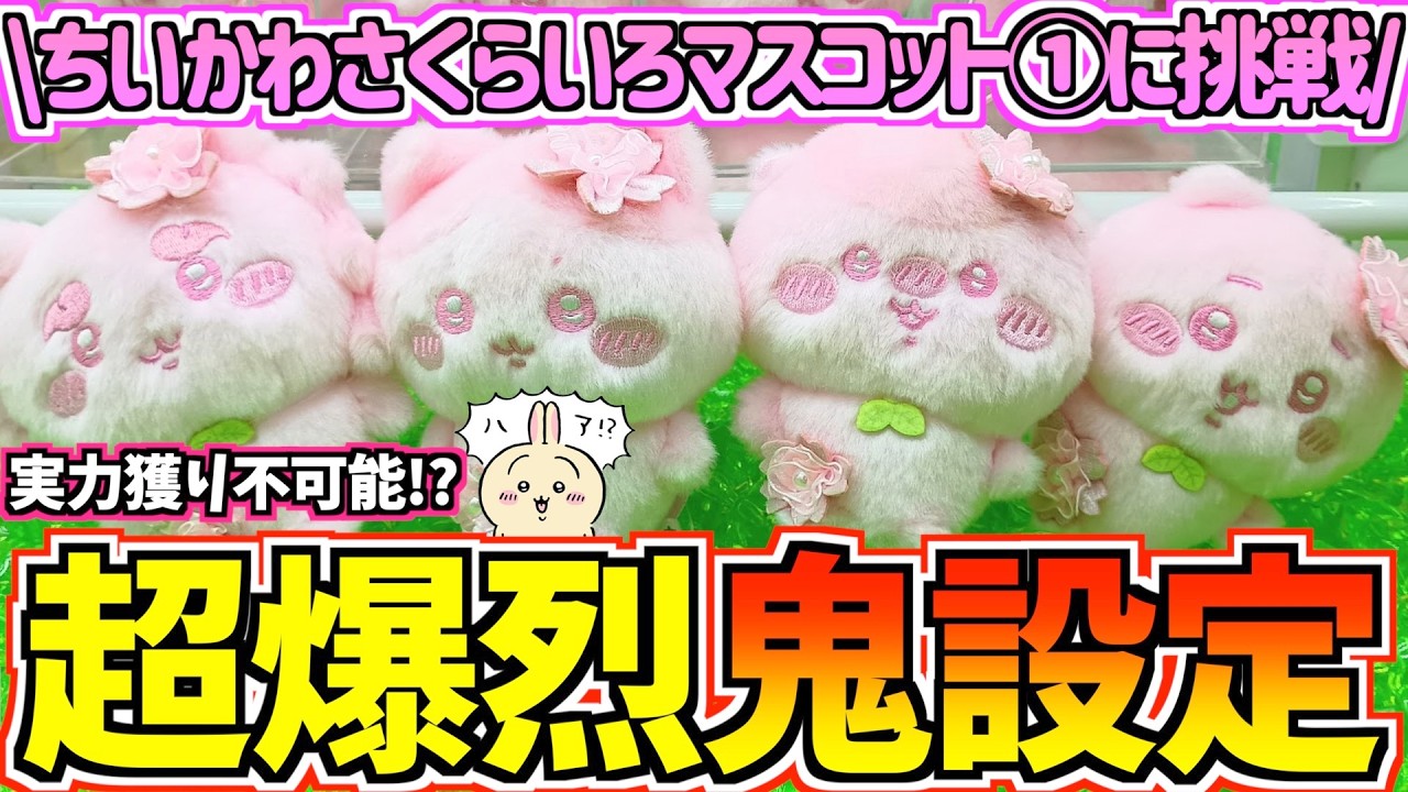 【ちいかわクレゲ】絶対無理!?ちいかわぬいぱれっとさくらいろマスコット①に挑戦！【ちいかわグッズ】【chiikawa】【UFOキャッチャー】【おはるのちい活vlog】【最新プライズ】【ちいかわ新商品】