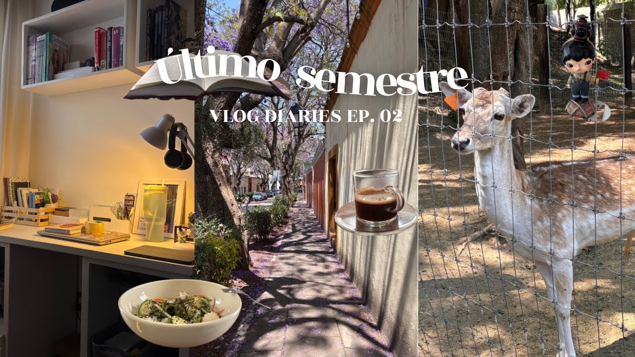 Vlog diaries ep. 02 | Último semestre de universidad, zoológico, hirono unboxing…